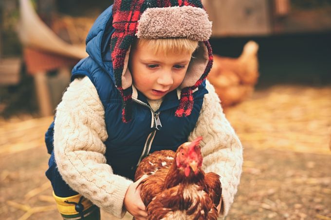 Az erős immunrendszerhez mikrobákra van szükségük a gyerekeknek - ezért egészségesebbek a vidéki gyerekek Az erős immunrendszerhez mikrobákra van szükségük a gyerekeknek - ezért egészségesebbek a vidéki gyerekek