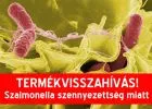 Újabb termékeket hivott vissza a Nébih Szalmonella fertőzés veszélye miatt