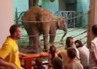 Áloméj az Állatkertben Péntek este - zárás után - mozgáskorlátozott gyermekeket lát vendégül az Állatkert