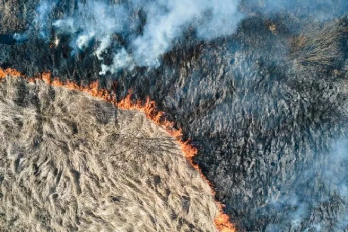 Klímaváltozás: a jövőben egyre inkább számolni kell a porral behurcolt kórokozókkal