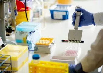 A Semmelweis két munkatársa is bekerült a világ legidézettebb kutatói közé