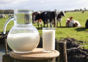 Magas aflatoxin-szennyezés kockázat - kiemelt hatósági és vállalkozói figyelem indokolt a takarmányoknál, tej és tejtermékeknél