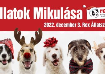 Újra Állatok Mikulása a Rex Állatszigeten!