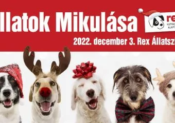 Újra Állatok Mikulása a Rex Állatszigeten!