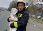"Csak tarts jó erősen, kérlek!" - Kisbabát mentett egy tűzoltó Bagnál