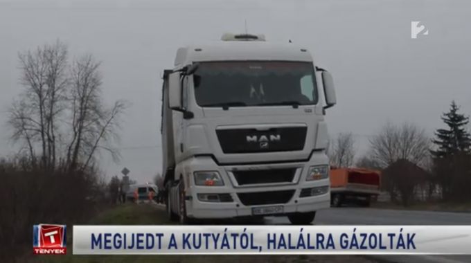 Megijedt a kutyától, kiszaladt az útra - 10 éves kislányt gázolt el egy kamion Megijedt a kutyától, kiszaladt az útra - 10 éves kislányt gázolt el egy kamion