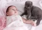 Így reagált a macska a család újszülöttjére - mindenki ezen nevet