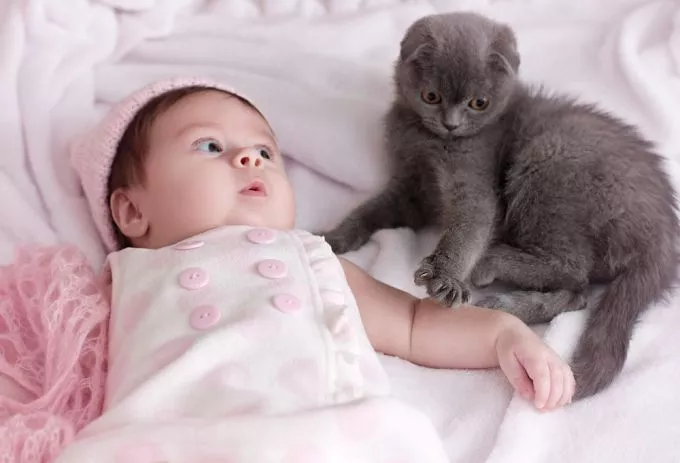 Így reagált a macska a család újszülöttjére - mindenki ezen nevet