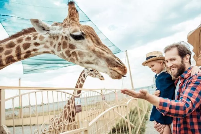 Az egyszülős családokra is gondolnak: új, kedvezményes belépőjegyek a budapesti Állatkertben