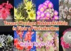 "Mammillariák, a szemölcskaktuszok nemzetsége" - Tavaszi Országos Kaktuszkiállítás és Vásár az ELTE Füvészkertben május 19-21-ig - Nyereményjáték!