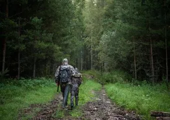 Nem a vadász, hanem 9 éves gyermeke lőtte le a svájci farkast Magyarországon