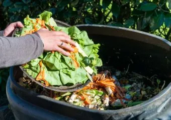 Újabb lépés a fenntarthatóság felé: a magyar háztartások egyre kevesebb élelmiszert pazarolnak
