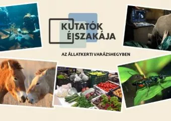 Az Állatkerti is részt vesz a Kutatók Éjszakáján - Péntek este interaktív bemutatók és érdekes előadások várják az érdeklődőket