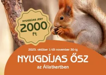 November végéig tart a Nyugdíjas Ősz az Állatkertben - Kedvezmények és programok várják a szépkorúakat