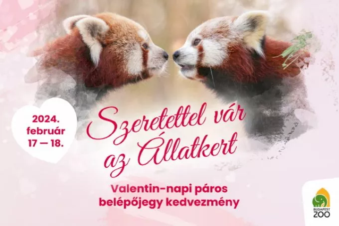 Páros kedvezmények Valentin-nap alkalmából - Szerdán este a Lampion Fesztivál, hétvégén maga az Állatkert látogatható páros kedvezménnyel