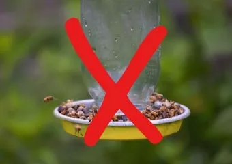 Butaság terjed a neten: ne így akarj segíteni a méheken, mert óriási károkat okozhatsz vele!
