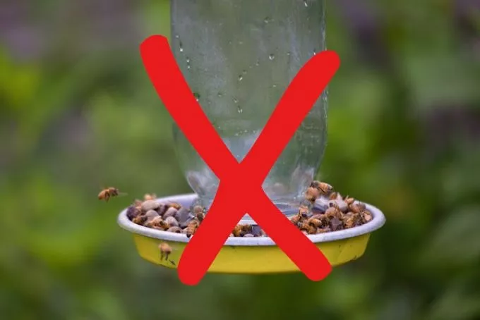 Butaság terjed a neten: ne így akarj segíteni a méheken, mert óriási károkat okozhatsz vele!
