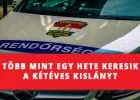 Saját udvarukról tűnt el nyomtalanul a 2 éves kislány - már a magyar rendőrség is keresi