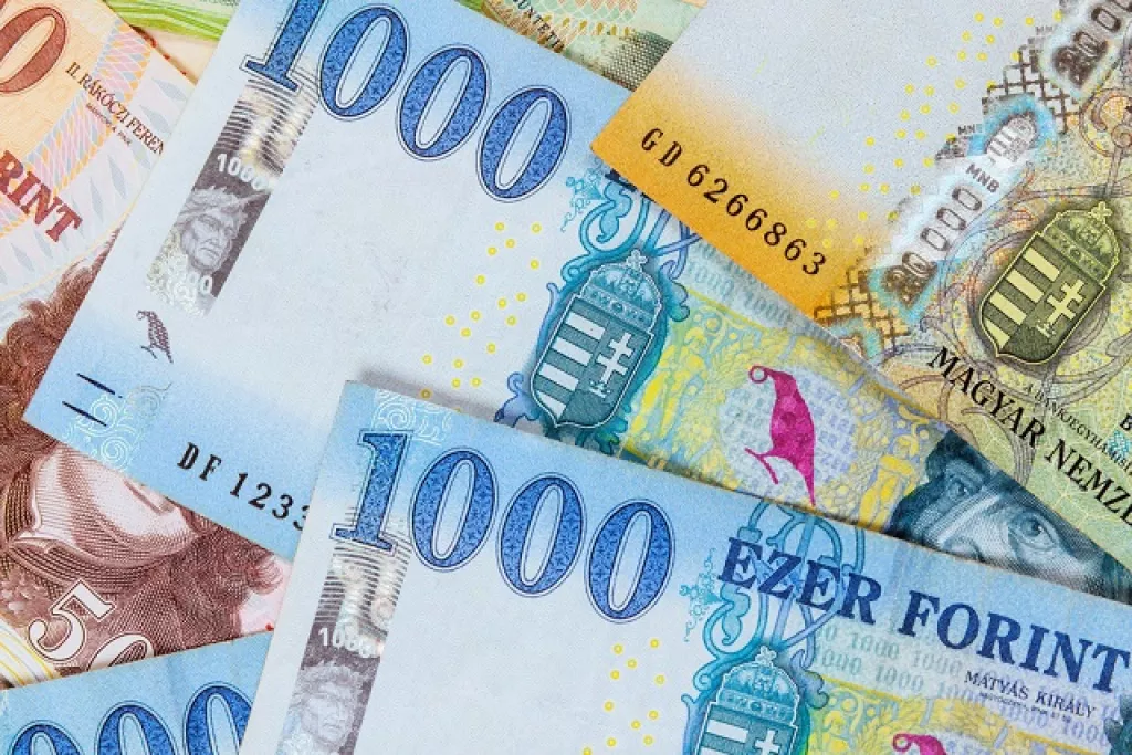 pénz pénz