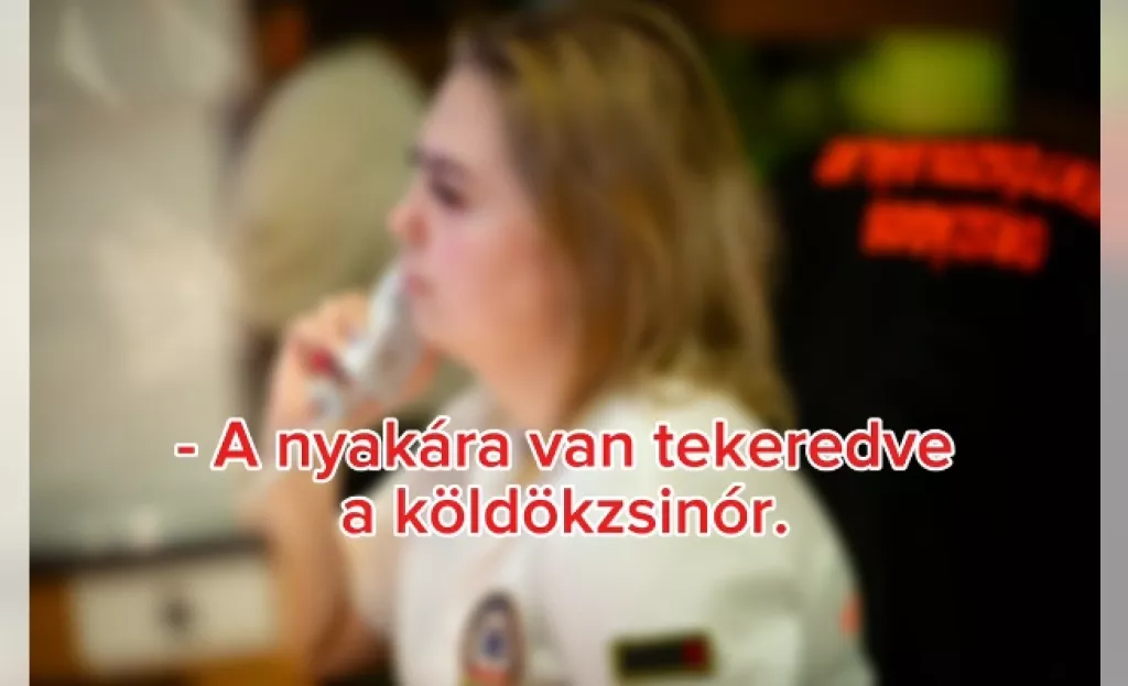 mentő