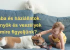 Háziállatok és a baba: örömök és veszélyek - a gyermekorvos tanácsai - VIDEÓVAL