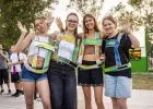 Kulisszák mögé enged a Sziget: elindult a hellonext Steward program jelentkezése