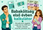 Milyen kiadások várhatók egy baba első éve során?