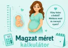 Magzat méret kalkulátor