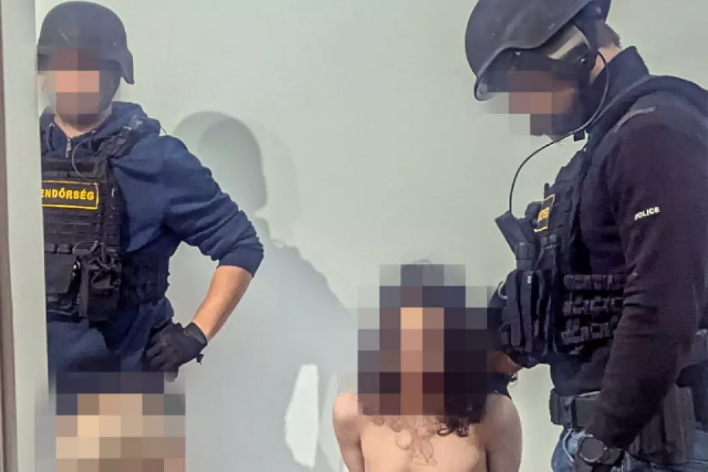 16 éves fiú elfogása