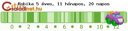 Kép