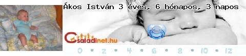 Kép