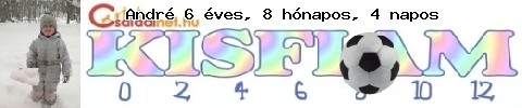 Kép