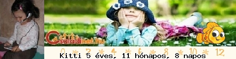 Kép