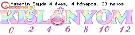 Kép
