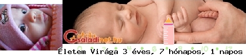 Kép