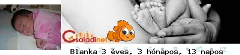Kép