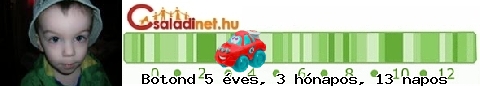 Kép