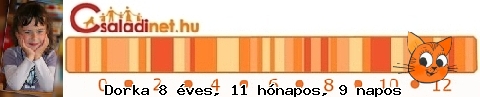 Kép