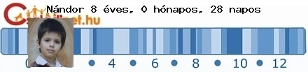 Kép