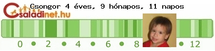 Kép