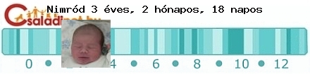 Kép