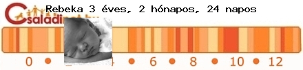 Kép