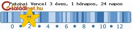 Kép