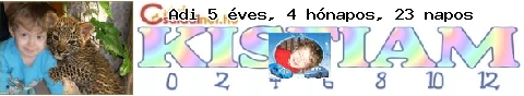Kép
