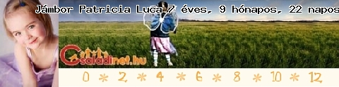 Kép