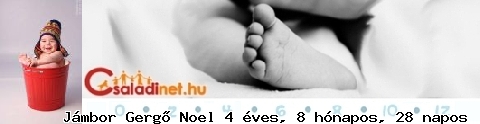 Kép
