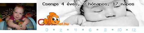 Kép