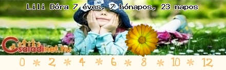 Kép