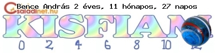 Kép