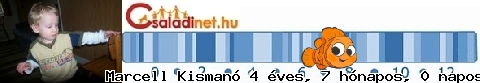 Kép